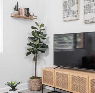 Meridian-Kessler Apartamento | CozySuites Modern Studio in Meridian Kessler