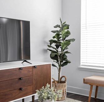 Indianapolis Apartamento | CozySuites Nora 2BR next to Whole Foods