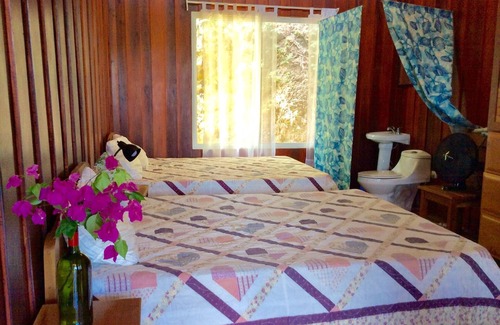 Samara Hotel | TREE HOUSE PLAYA SAMARA