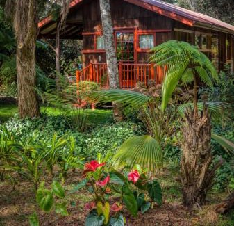 Kohala Coast Casa | Crater Rim Cabin