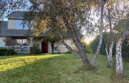 Callender Casa | Pismo Beach / SLO / Beach just 2 miles away! Pet-friendly home with pizza oven.