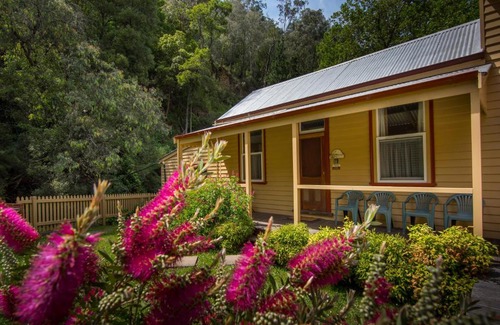 Walhalla Apartamento | Creek Cottage