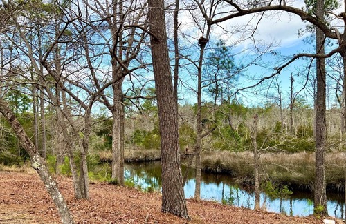 Holly Ridge Cabaña | Creekside Cottage on 48 Acres - Pet Friendly- 3 BR 2BA/Sleeps 6 - Next To Nature