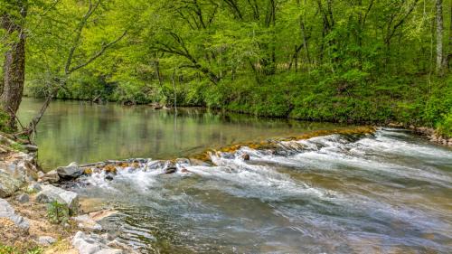 Cashes Valley Casa | Creekwood Cabin
