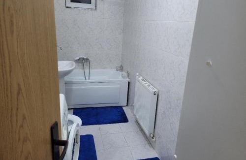 Busteni Apartamento | CRISTINA APART