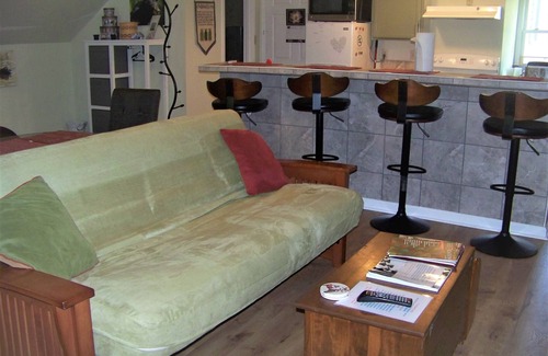 Leicester Apartamento | Critter Hill Studio Apt. cerca del centro de Asheville y de la Blue Ridge Parkway