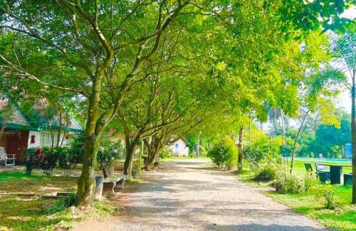 Nattandiya Hotel | Crown Holiday Village near Marawila