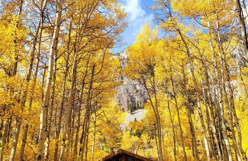 Crowsnest Pass Cabina | Crowsnest Rover Chalet - Grizzly
