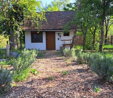 Csongrad Apartamento | csakmiketten