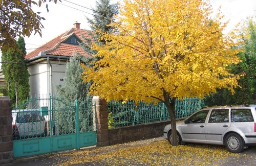 Eger Apartamento | Családi Vendégház