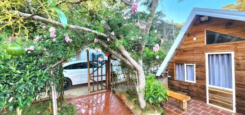 Da Lat Apartamento | Cub Homestay- Đồi quạt gió