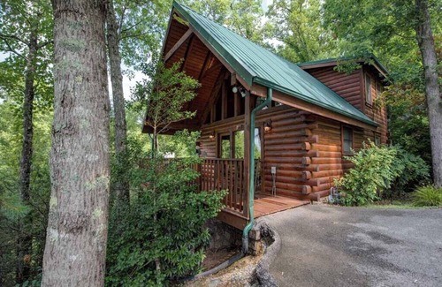 Black Bear Falls Cabina | Cub's Cove