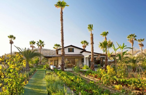 San Jose del Cabo Casa | Culinary Cottages at Flora Farms 2-BR