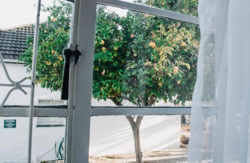 Drakenstein Cama Y Desayuno | Cummings Guesthouse