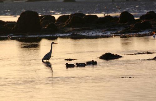 Rossaveel Apartamento | Curlews Rest - Gateway to the Aran Islands