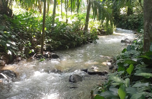 Dolega Apartamento | Cute 1-Bdrm Apt in Dolega Centro. Great Central Location w/ a Lovely Stream.