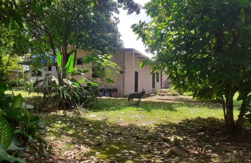 Dolega Apartamento | Cute 1-Bdrm Apt in Dolega Centro. Great Central Location w/ a Lovely Stream.