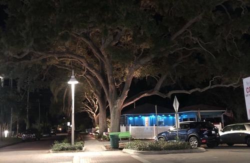 Gulfport Apartamento | Cute 1 BR apt 1/2 block to Beach Blvd and 3 Blocks to the Beach