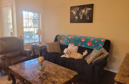 South Arlington Condominio | Cute and Cozy Condo. Home away from home.