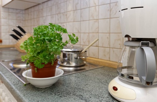 Spiegelau Apartamento | Wohnung Rachel directamente en el Parque Nacional Bayerischer Wald, 4 Gäste