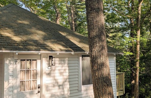 Bar Harbor Cabina | Cute Cabin Nested in Pine Trees Cabin 12A