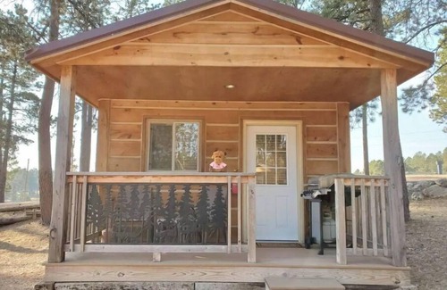 Custer Cabina | Cute Camping Cabin in Custer