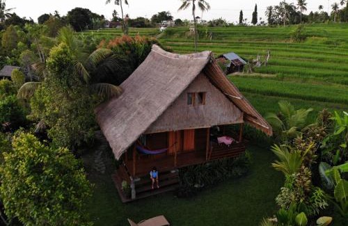 Sukasada Casa | Cute Eco Cottage Near 7 Waterfalls