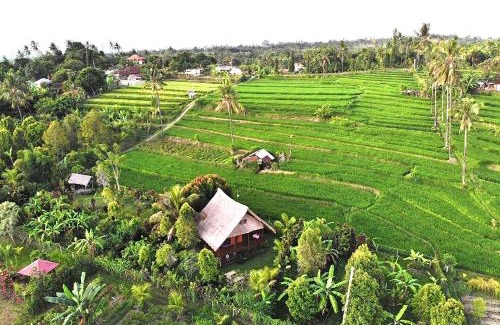 Sukasada Casa | Cute Eco Cottage Near 7 Waterfalls