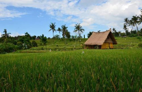 Sukasada Casa | Cute Eco Cottage Near 7 Waterfalls