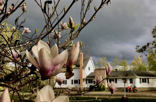 Traverse City Otro | Large farm house + separate apartment near downtown Traverse City, creek bonfire