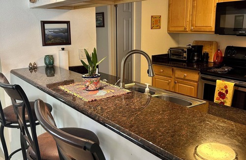 Bayview Condominio | Cute St Pete Condo near Gulfport