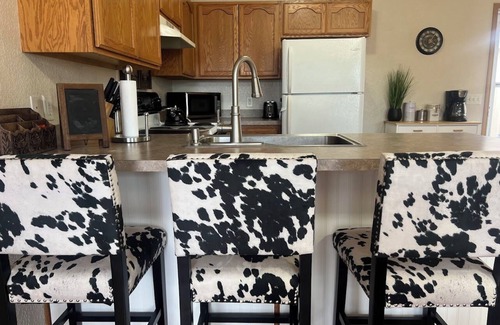 Westside Casa | Cutest Coop on Cooper Street for YOU and Your Furry Friends!