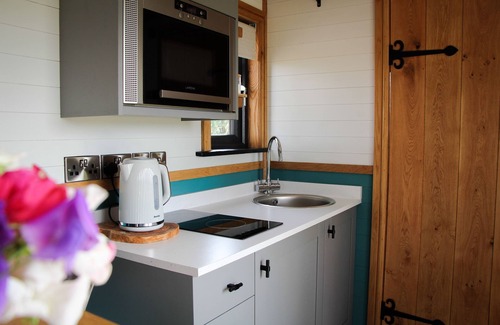 Newcastle-on-Clun Cabina | Cwm Cariad - Shepherds Hut with Hot Tub Sleeping 2 guests, Pet Friendly