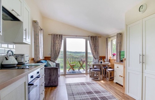 Brecon Chalet De Esquí | Tyncoed es una cabaña de madera hecha por artesanos en un entorno idílico en un país muy tranquilo y privado.