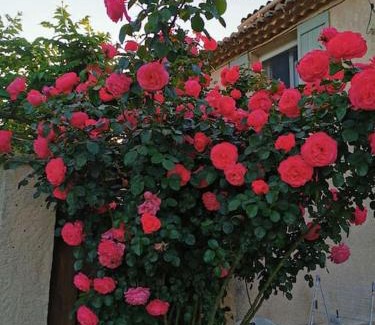 Aubagne Chalet De Esquí | Dépendance cosy entre jardin et jacuzzi privés et piscine partagée