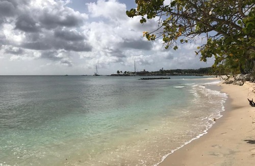 Speightstown Apartamento | D'AMORE