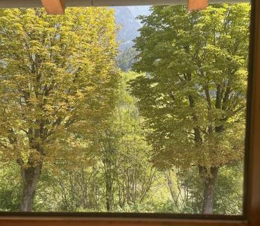 Werfen Apartamento | D'Fidlerin