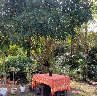Kampial Casa | D' Jati Homestay