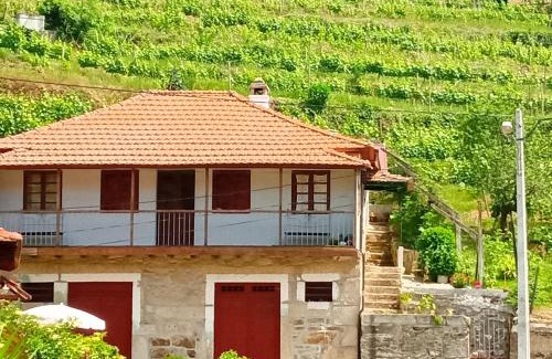 Lamego Casa | D. Maria São Pedro de Balsemão