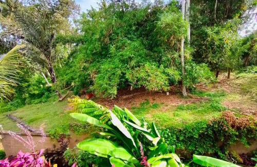 Kemenuh Cama Y Desayuno | D'Nanda mini hotel Ubud
