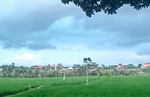 Lodtunduh Casa | D' Tegal House