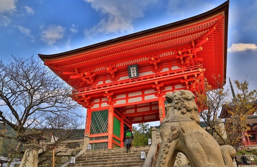 Karasumaoike Apartamento | [D2] 1 minuto a pie desde la estación de Karasuma Oike Excelente ubicación para hacer turismo WIFI gratuito Max 2 personas-Karasuma Anexo 412 / Nakagyo-ku, Kyoto Kyoto