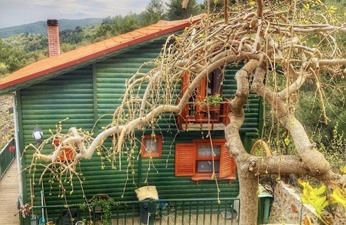 Ayvacik Chalet De Esquí | - Dağ Evi -