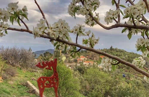 Ayvacik Chalet De Esquí | - Dağ Evi -