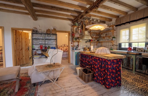 Agva Hotel | Dachas Cove Hotel