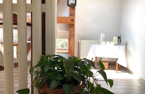 Schlamau Apartamento | Apartamento 'Dachstudio - Schlamau19' con terraza compartida, jardín compartido y Wi-Fi