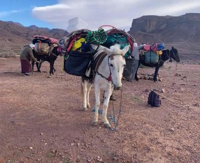 Ait Sedrate Jbel El Soufla Otro | Dades mountain camp
