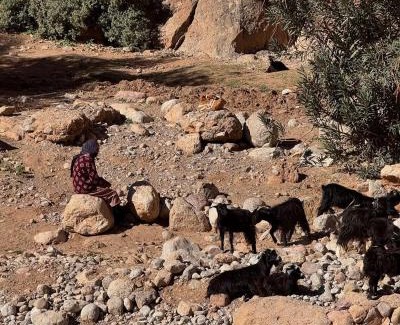 Ait Sedrate Jbel El Soufla Otro | Dades mountain camp