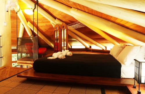 Diwan Casa | Daintree Cascades