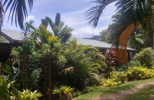 Diwan Casa | Daintree Holiday Homes - The Folly - Un retiro de naturaleza en Daintree